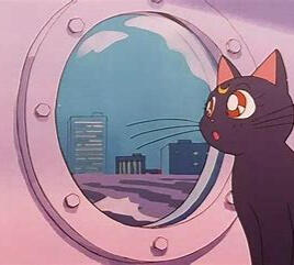 cat: @monkeycatluna